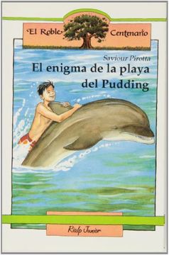 portada enigma de la playa del pudding. r.centenario 25