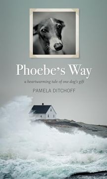 portada Phoebe's Way (en Inglés)