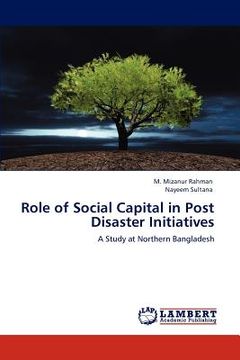 portada role of social capital in post disaster initiatives (en Inglés)