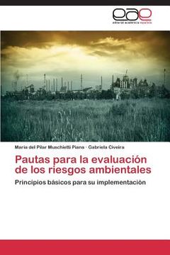 portada pautas para la evaluacion de los riesgos ambientales (in Spanish)