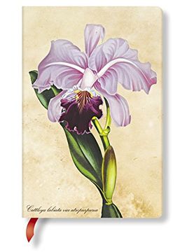 portada Paperblanks Brazilian Orchid Lined Mini Journal