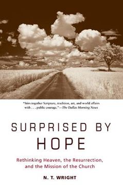portada surprised by hope