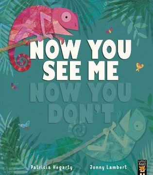 portada Now you see me, now you Don’T (in English)