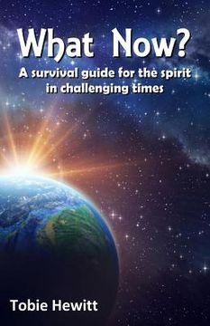 portada What Now?: A survival guide for the spirit in challenging times (in English)