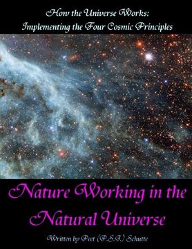portada How the Universe Works: Implementing the four cosmic principles: Nature Working in the Natural Universe
