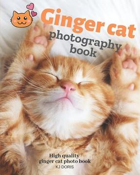 portada Ginger cat photography book: High quality ginger cat photo book (en Inglés)
