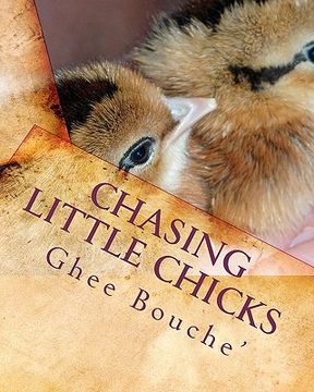 portada chasing little chicks (en Inglés)