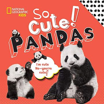 portada So Cool! Pandas (so Cute! ) (en Inglés)