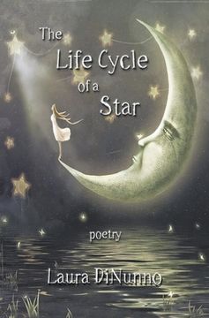 portada The Life Cycle of a Star (en Inglés)