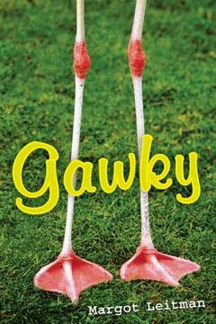 portada gawky: tales of an extra long awkward phase (en Inglés)