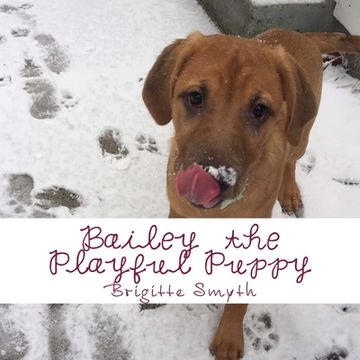 portada Bailey The Playful Puppy Picture Book (en Inglés)