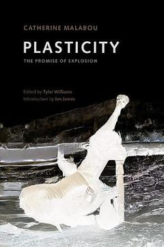 portada Plasticity: The Promise of Explosion (in English)