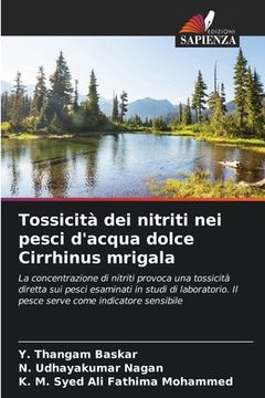 portada Tossicità dei nitriti nei pesci d'acqua dolce Cirrhinus mrigala (en Italiano)