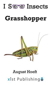 portada Grasshopper (i see Insects) (en Inglés)