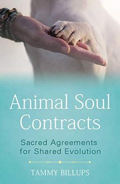 portada Animal Soul Contracts: Sacred Agreements for Shared Evolution (en Inglés)