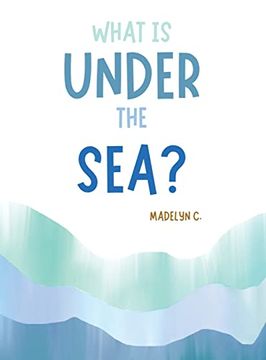 portada What is Under the Sea? (en Inglés)
