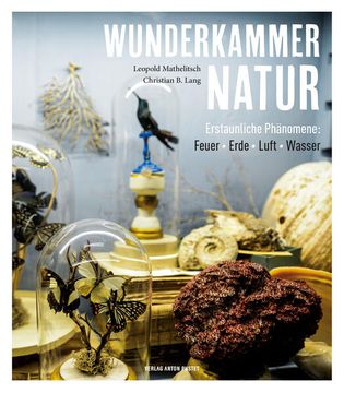 portada Wunderkammer Natur: Erstaunliche Phänomene: Feuer, Erde, Luft, Wasser. 160 Fragen an die Vier Elemente? Einfach Beantwortet! (in German)