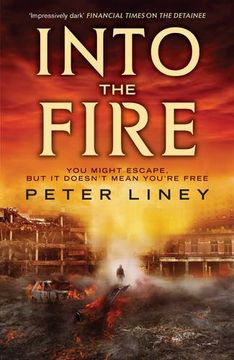 portada Into The Fire (The Detainee)