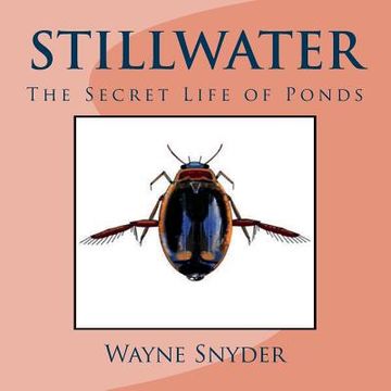 portada Stillwater: The Secret Life of Ponds (en Inglés)