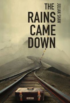 portada The Rains Came Down (en Inglés)