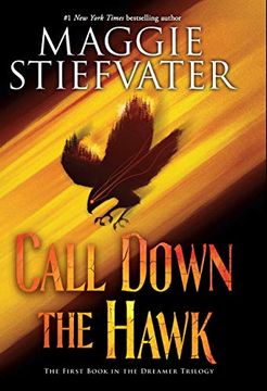 portada Call Down the Hawk (The Dreamer Trilogy, Book 1) (in English)