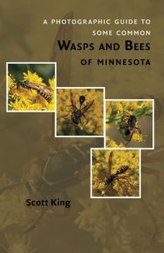 portada A Photographic Guide to Some Common Wasps and Bees of Minnesota