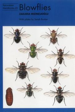 portada Blowflies: 23 (Naturalists'Handbooks) (en Inglés)