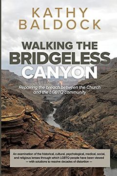 portada Walking the Bridgeless Canyon: Repairing the Breach Between the Church and the Lgbt Community: Repairing the Breach Between the Church and the Lgbtq Community (en Inglés)
