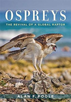 portada Ospreys: The Revival of a Global Raptor (en Inglés)