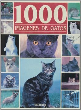 portada 1000 imagenes de gatos (in Spanish)