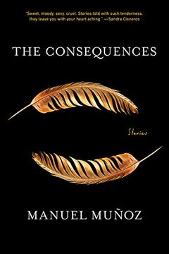 portada The Consequences: Stories (in English)