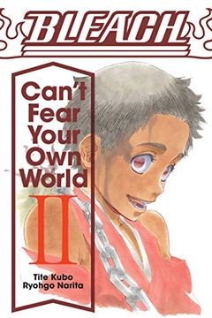 portada Bleach: Can'T Fear Your own World, Vol. 2 (in English)