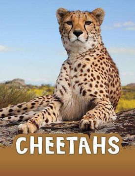 portada Cheetahs (Animals) (en Inglés)