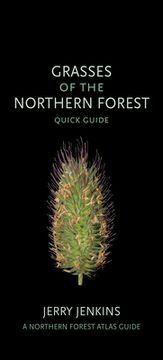portada Grasses of the Northern Forest: Quick Guide (en Inglés)