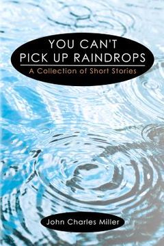 portada you can't pick up raindrops (in English)