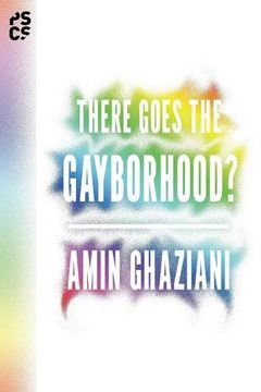 portada There Goes the Gayborhood? (Princeton Studies in Cultural Sociology) (in English)