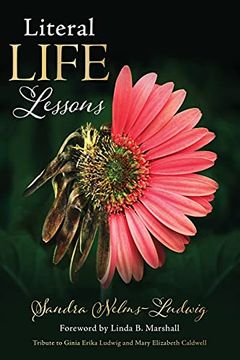 portada Literal Life Lessons (in English)