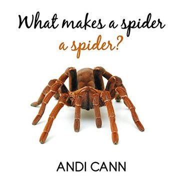 portada What Makes a Spider a Spider (Animal Classes) (en Inglés)
