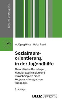 portada Sozialraumorientierung in der Jugendhilfe: Theoretische Grundlagen, Handlungsprinzipien und Praxisbeispiele Einer Kooperativen-Integrativen Pädagogik (Basistexte Erziehungshilfen) 