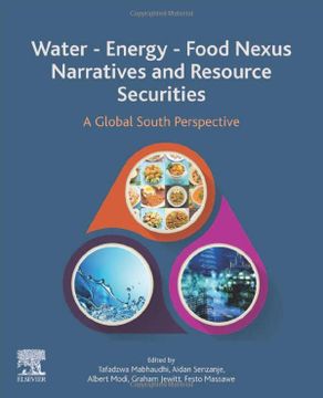 portada Water - Energy - Food Nexus Narratives and Resource Securities: A Global South Perspective (en Inglés)