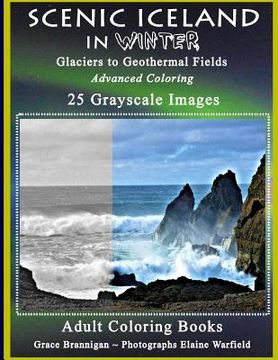 portada Scenic Iceland in Winter: Glaciers to Geothermal Fields: Advanced Coloring 25 Grayscale Images (en Inglés)