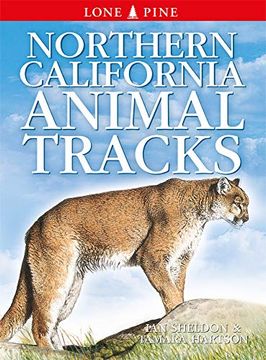 portada Northern California Animal Tracks: 7 (en Inglés)