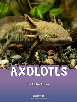 portada Axolotls (en Inglés)