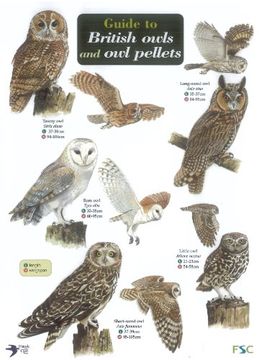 portada Guide to British Owls and Owl Pellets