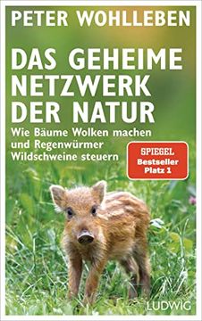 portada Das Geheime Netzwerk der Natur: Wie Bäume Wolken Machen und Regenwürmer Wildschweine Steuern (in German)