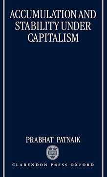 portada Accumulation and Sability Under Capitalism (en Inglés)