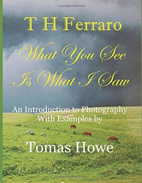 portada What you see is What i Saw: An Intro to Photography (en Inglés)
