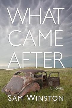 portada what came after (in English)