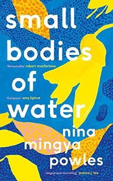 portada Small Bodies of Water (in English)