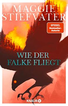 portada Wie der Falke Fliegt (Dreamer-Trilogie, Band 1) (in German)